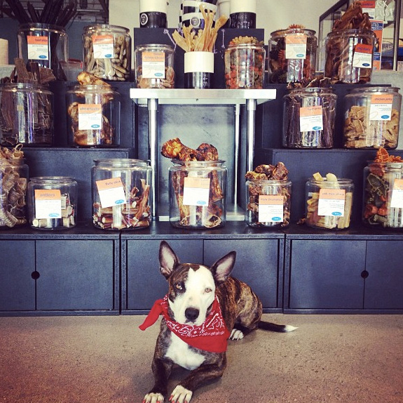 Shelves filled with treat jars at the Cadaver Bar