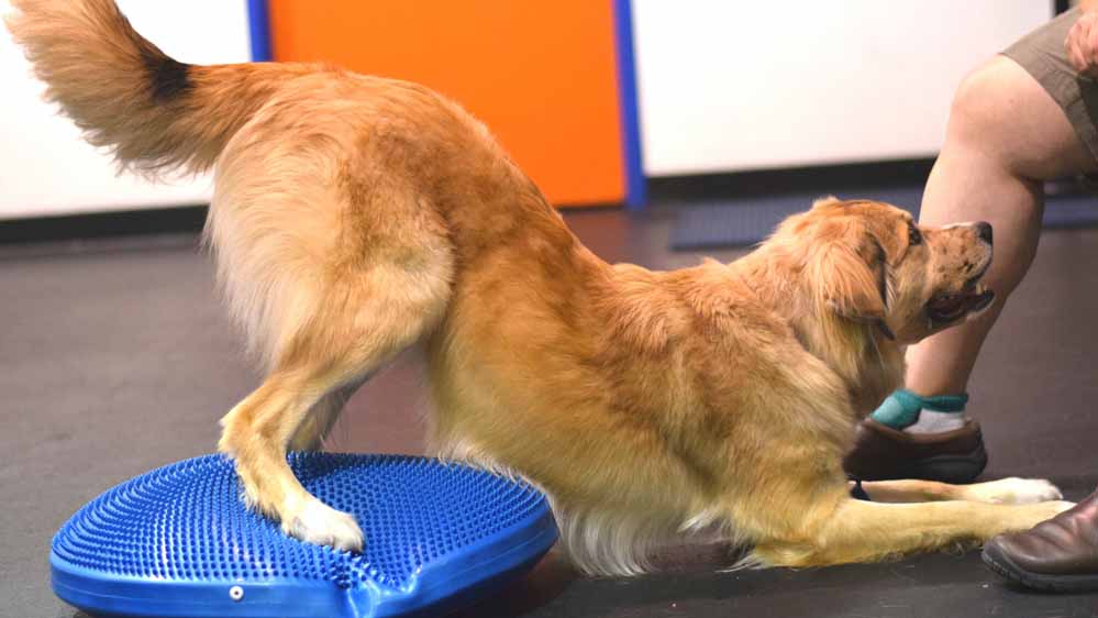 Enrichment Workshops