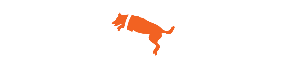 Zoom Room Dog Training Zoom Room Dog Training